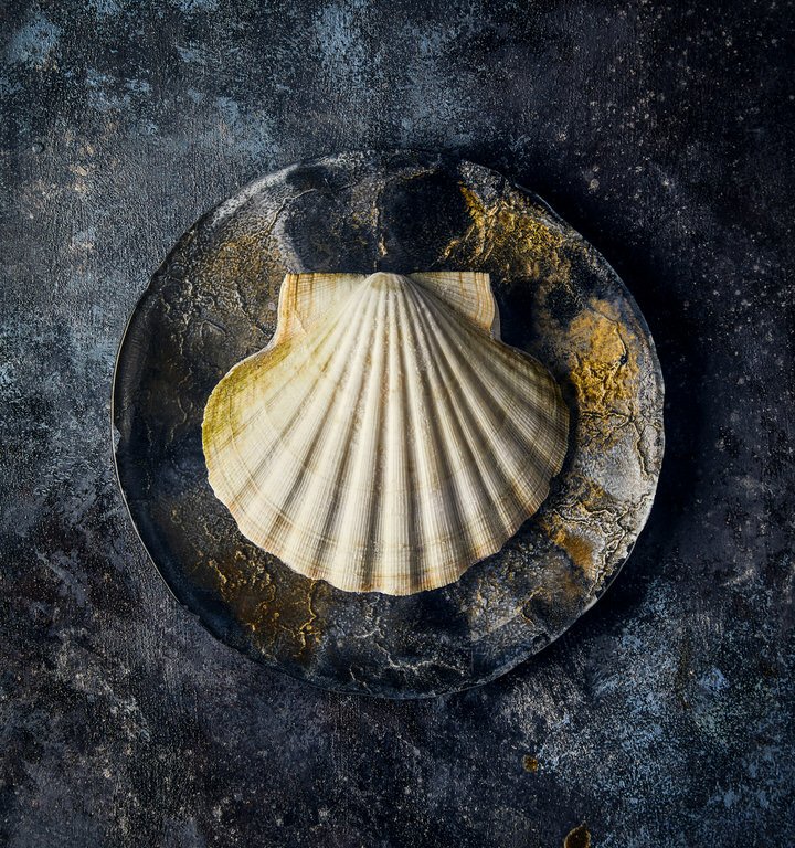 By Gusto Sea Food Yemek Detay Prodüksiyonu