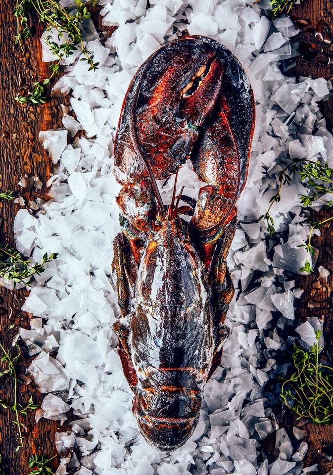 By Gusto Gastronomi Son Kare Marka Fotoğrafı