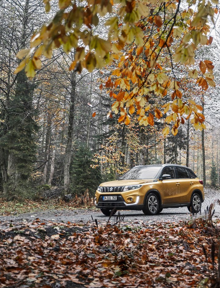 Suzuki Vitara doğa detayı